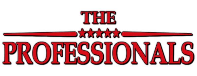 I professionisti logo