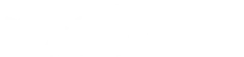 The Night Porter logo