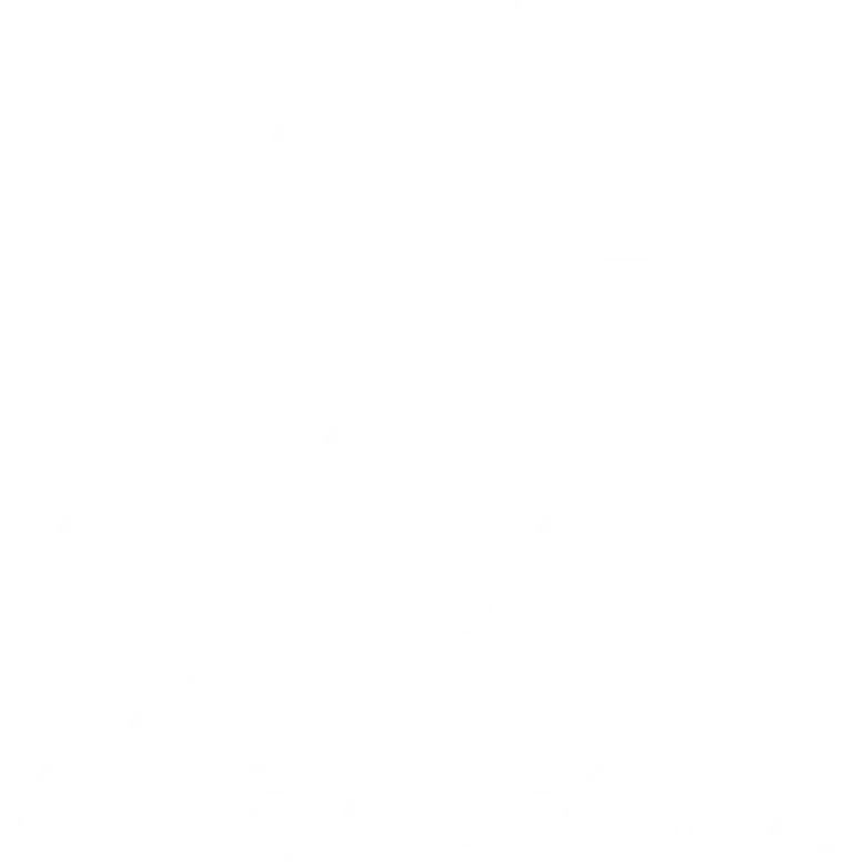 Bruce Lee, the Legend logo