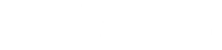 Les Dessous de Palm Beach logo