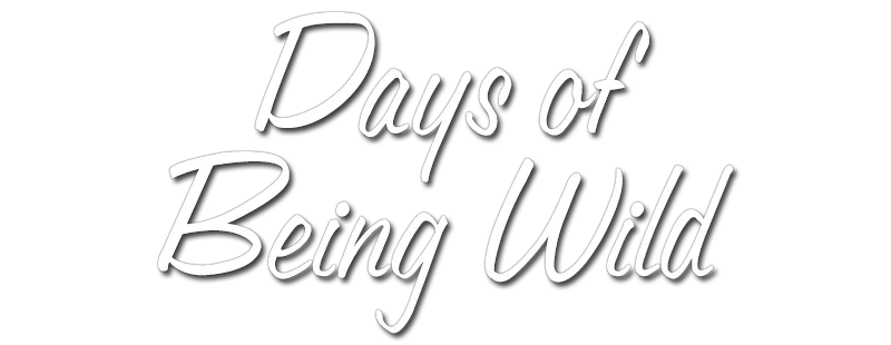 Days of Being Wild logo