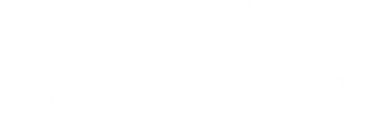 The Glass Virgin logo