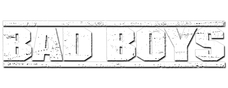 나쁜 녀석들 logo