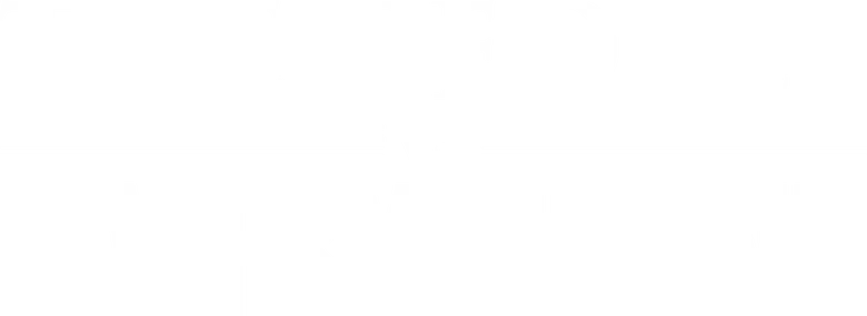 Larry Flynt logo
