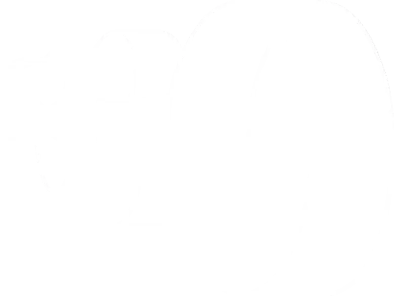 Roda de Fogo logo