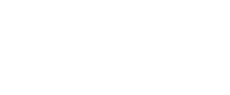 Gina logo