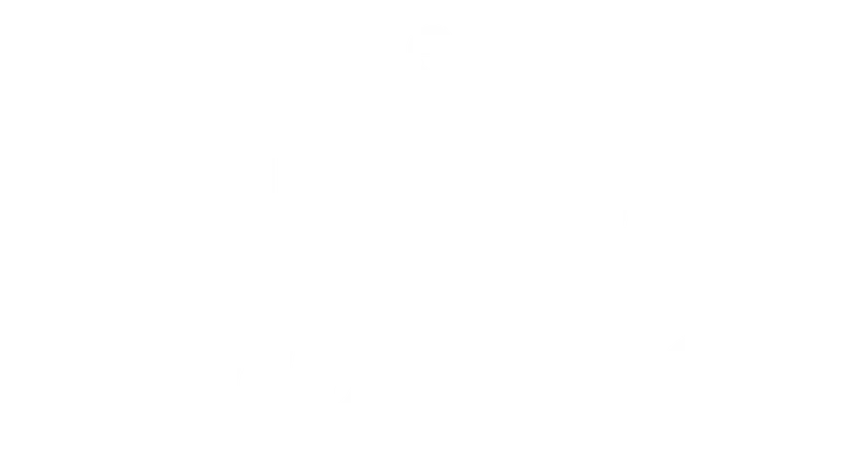 McLeod's Daughters logo