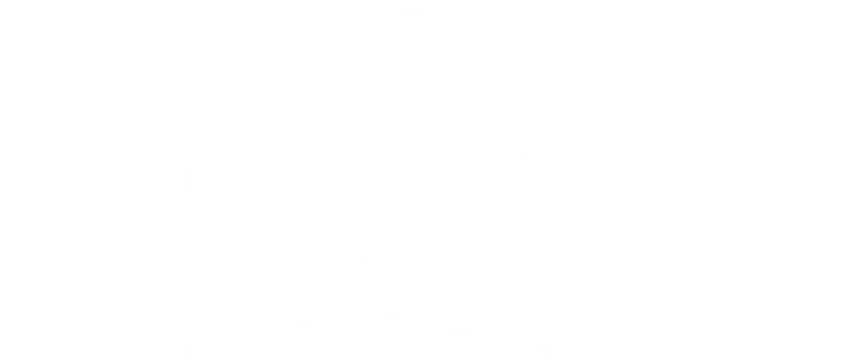 The Franchise Affair logo