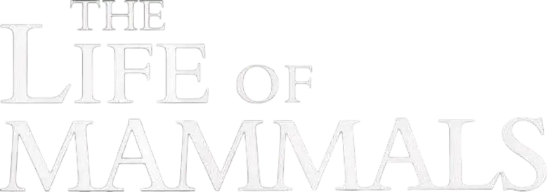 A Vida dos Mamíferos logo