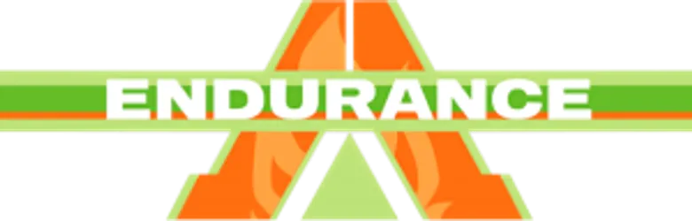 Endurance logo