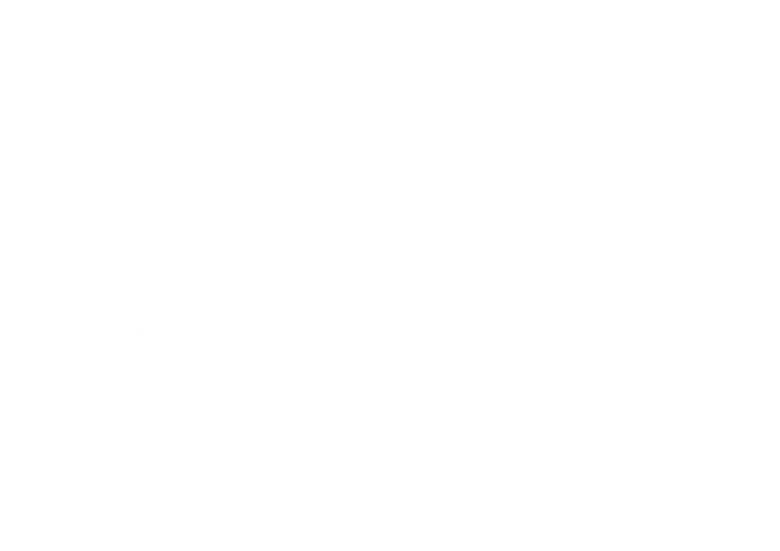 Soul Mate logo
