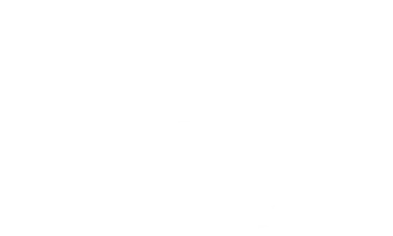 Damo logo