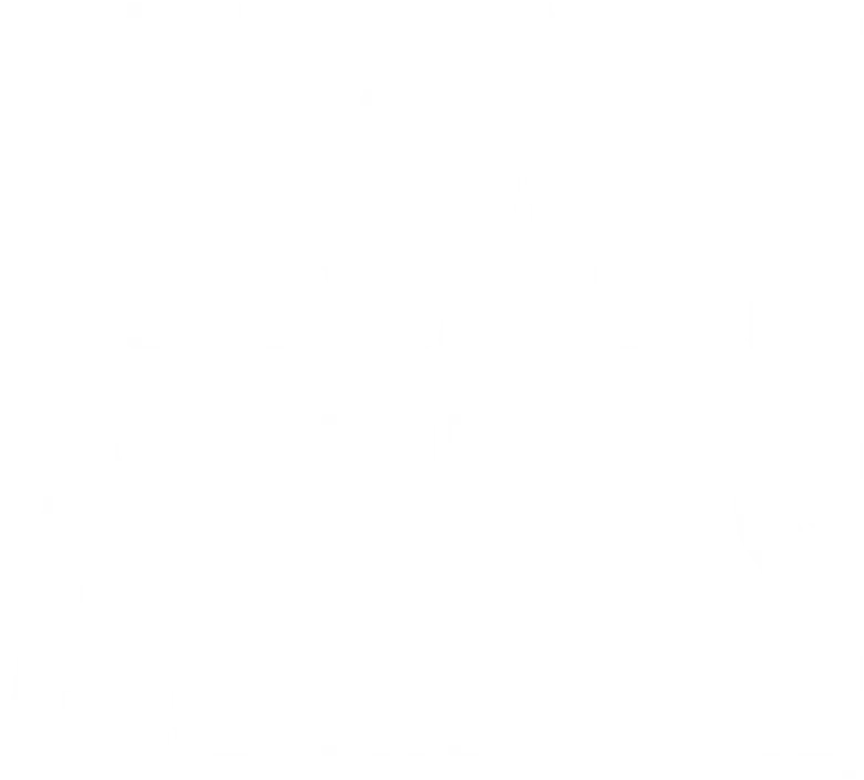 Female Agents - Geheimkommando Phoenix logo