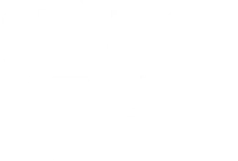 Crònica negra logo