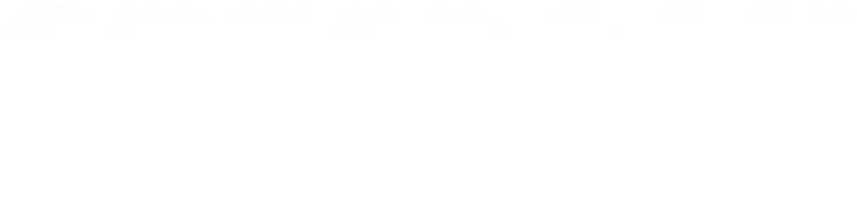 SPRIGGAN logo