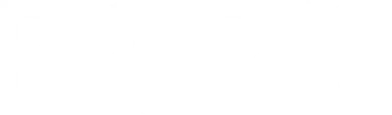 Boris logo