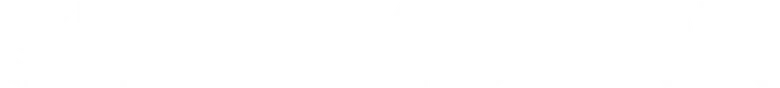 Nascido para a Tempestade logo