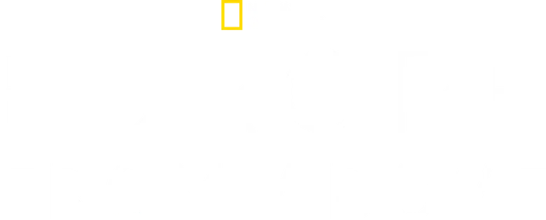 Европа с высоты птичьего полета logo