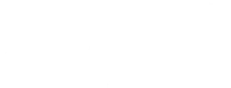 Last Stream on the Left logo