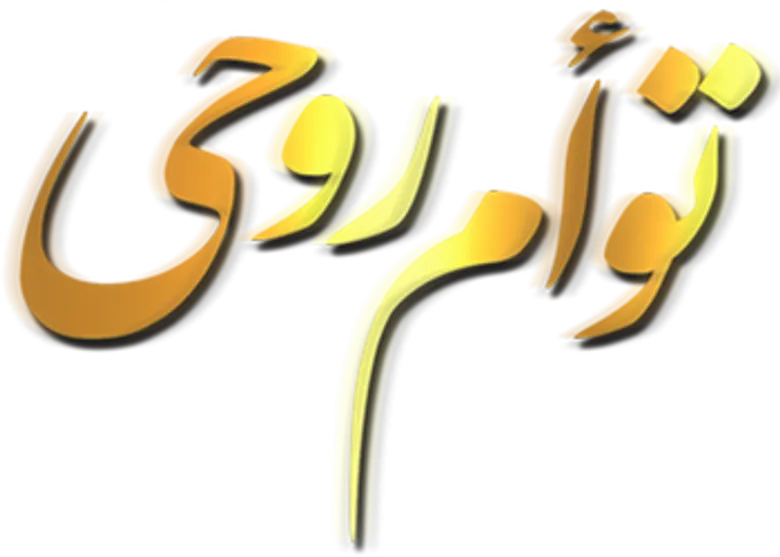 소울메이트 logo