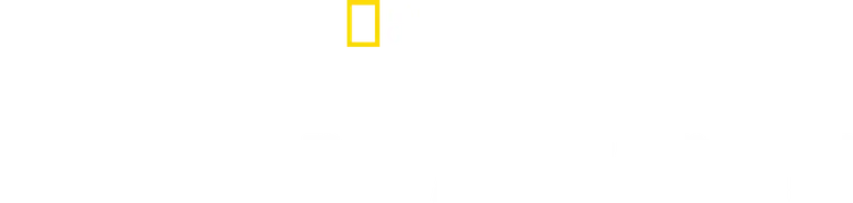 The Long Road Home logo