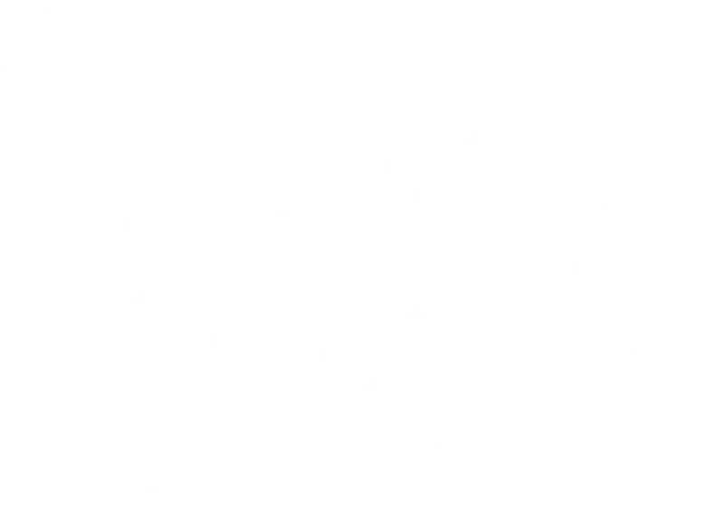 The Nanny Express logo