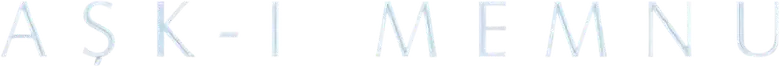 Amor Proibido logo