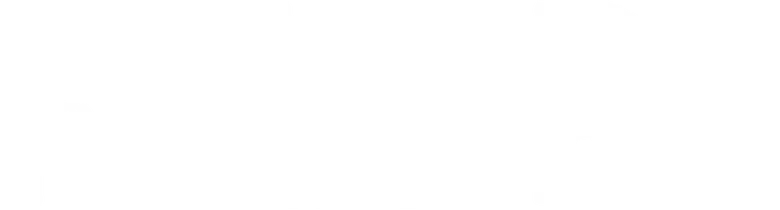 Foudre logo