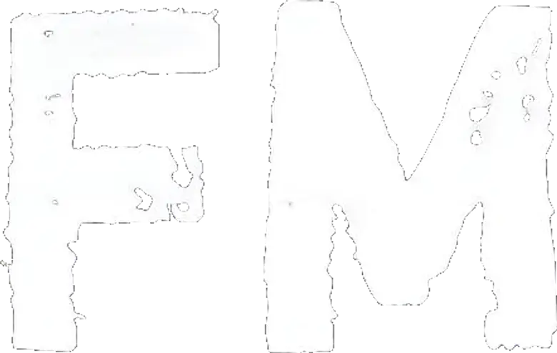 FM logo