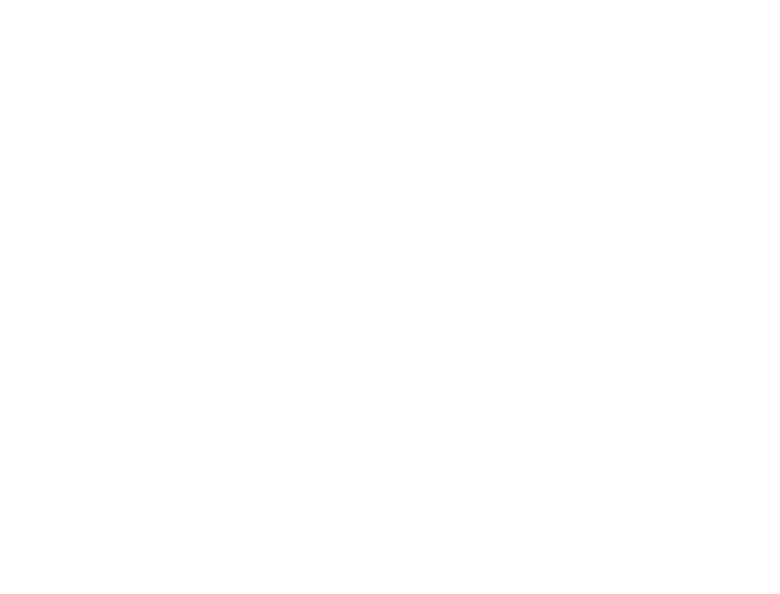 Fib the Truth logo