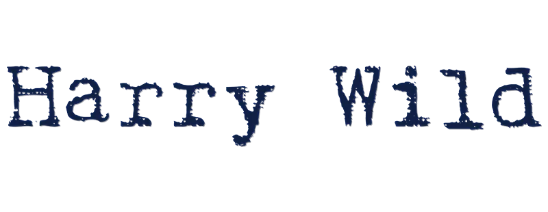 Harry Wild - La signora del delitto logo
