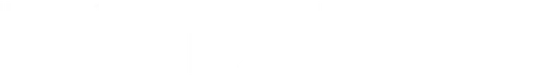 Hot Sluts logo