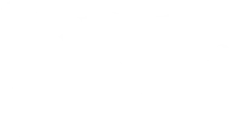 Visual Prison logo