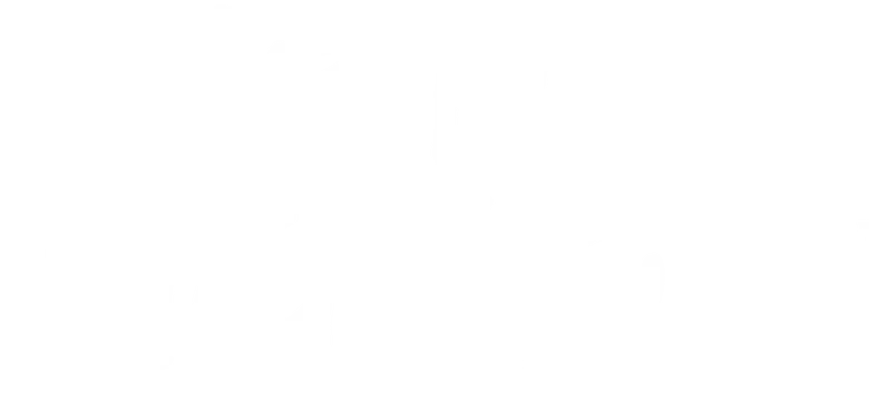 Triple Digit Flip logo