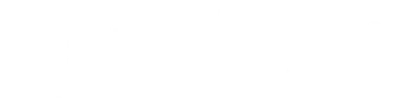 Chillin Island logo