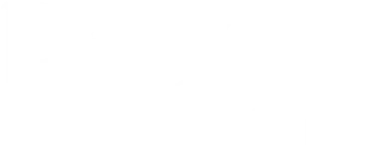 Perfect Sisters logo