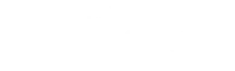 Playful Kiss logo