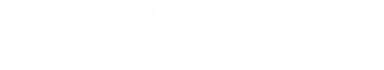 Stuff the British Stole logo