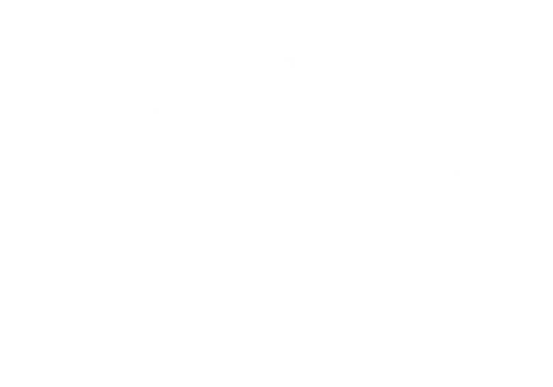 Nunca Desista logo
