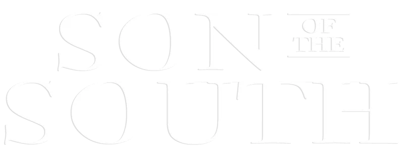 Il colore della libertà logo