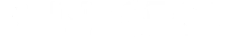 Blindspot logo