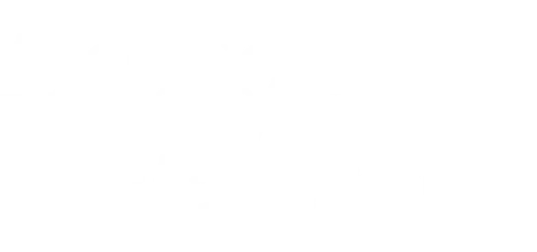 Lição de Amor logo