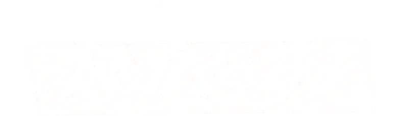 Special Force: Anarchy logo