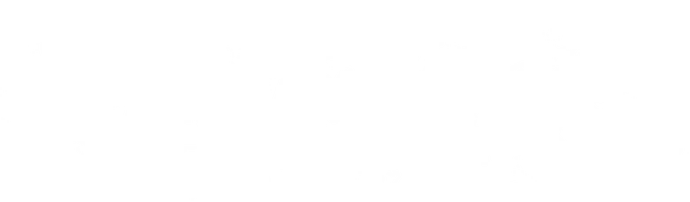 REVENGER logo