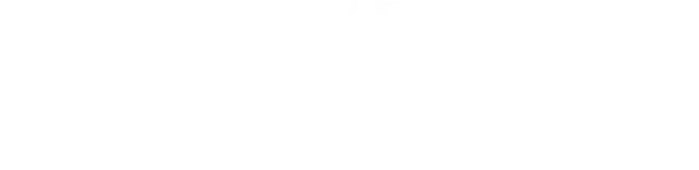 The Mighty Nein logo