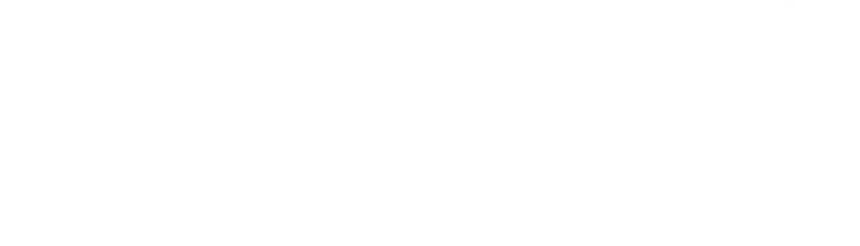 Фальшивый флаг logo