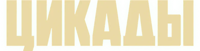 Цикады logo