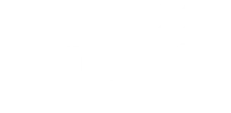 Venus in the Sky logo