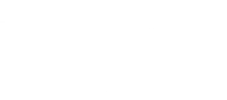 Nudes (Nus) logo