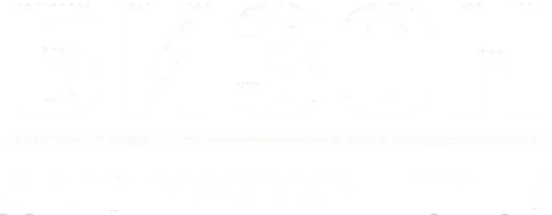 Бизон: Дело манекенщицы logo